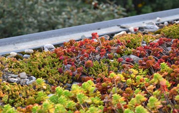the cost of Aslockton green roof installation