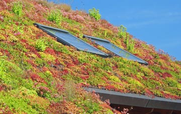 Aslockton living roof systems