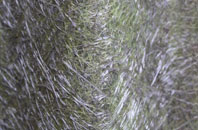 Aslockton fibreglass roof work